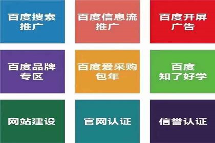 百度SEO推广公司案例分析：成功案例解析